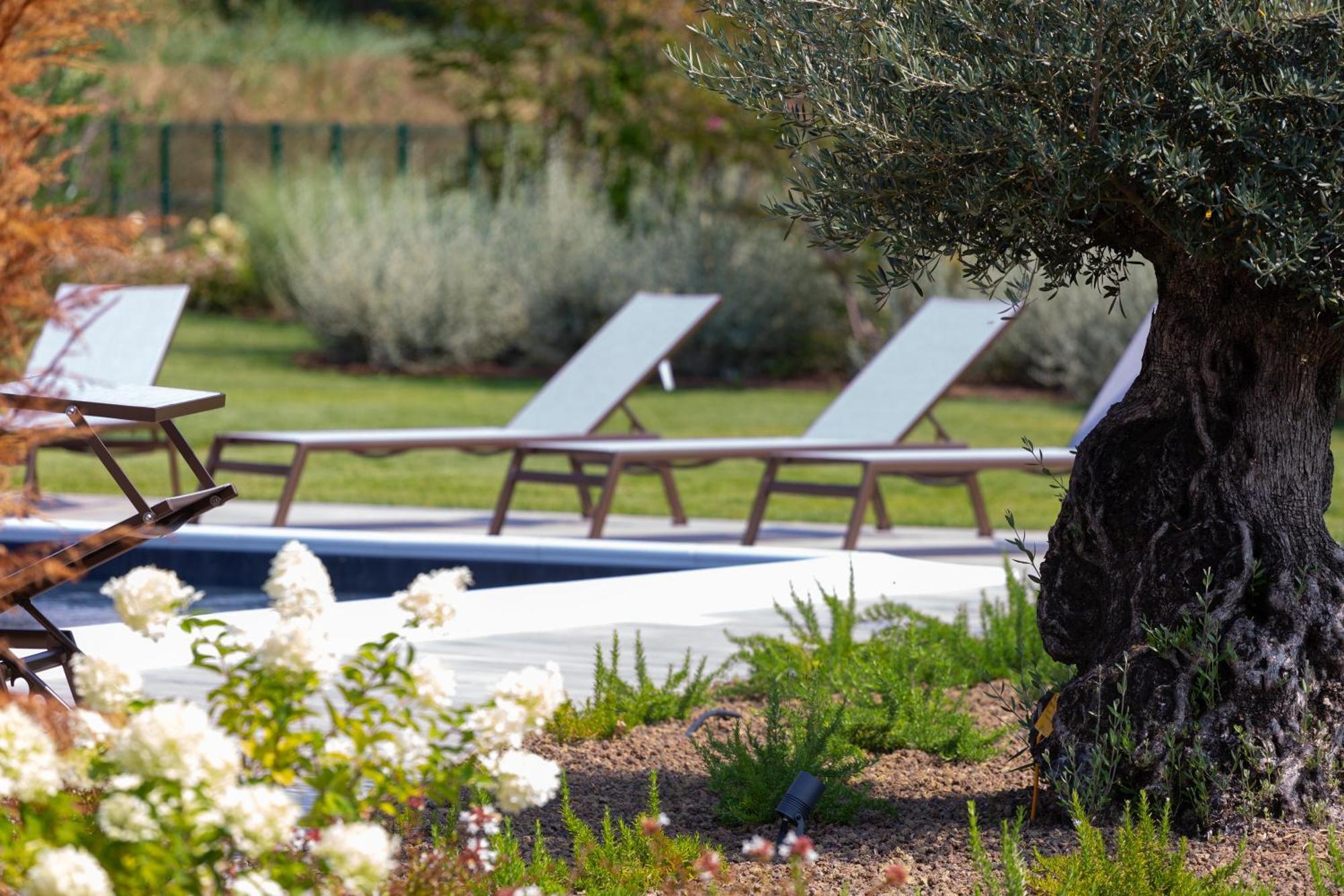 Casa Massaro Todeschini Aparthotel Αμπάνο Τέρμε Εξωτερικό φωτογραφία