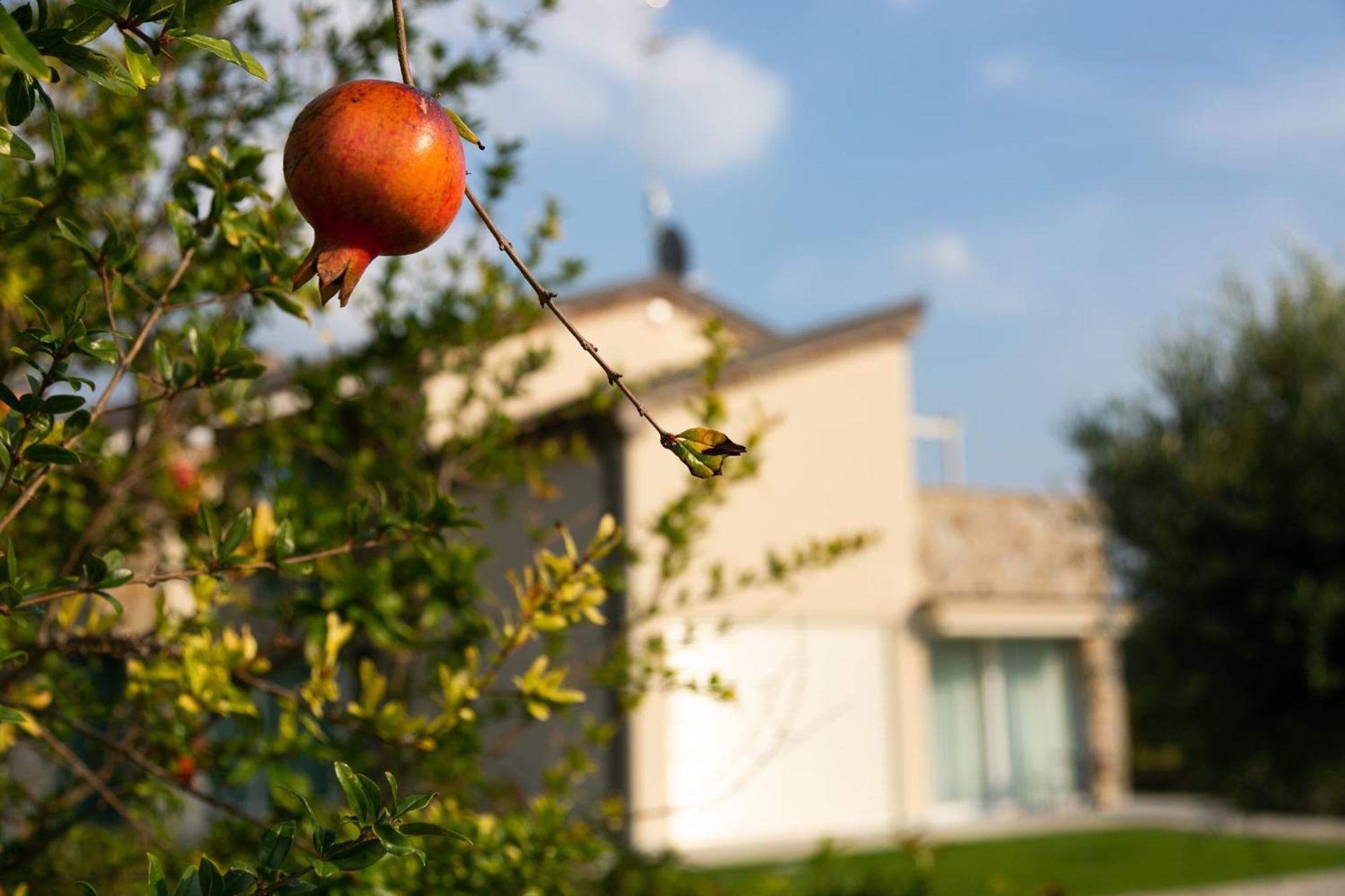 Casa Massaro Todeschini Aparthotel Αμπάνο Τέρμε Εξωτερικό φωτογραφία